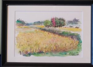 WP139　Golden rice field /黄金いろ　¥50,000　A4判211×298