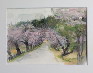 WP164　Cherry trees lined by Nanko /南湖の桜並木　¥45,000　八ッ切242×303