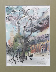 WP167　Cherry blossoms at Nanzenji temple /南禅寺の桜　¥45,000　八ッ切242×303